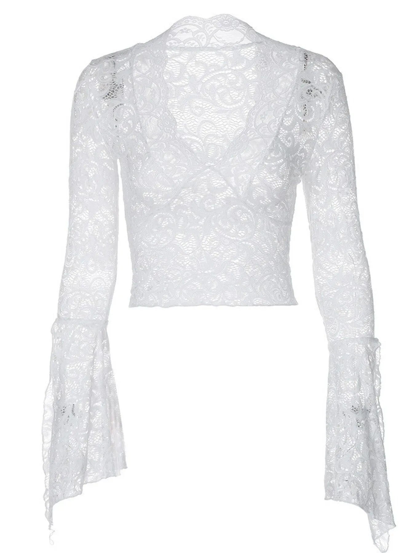 Lace Long Sleeve Deep V-Neck Blouse - Be Bliss Boutique