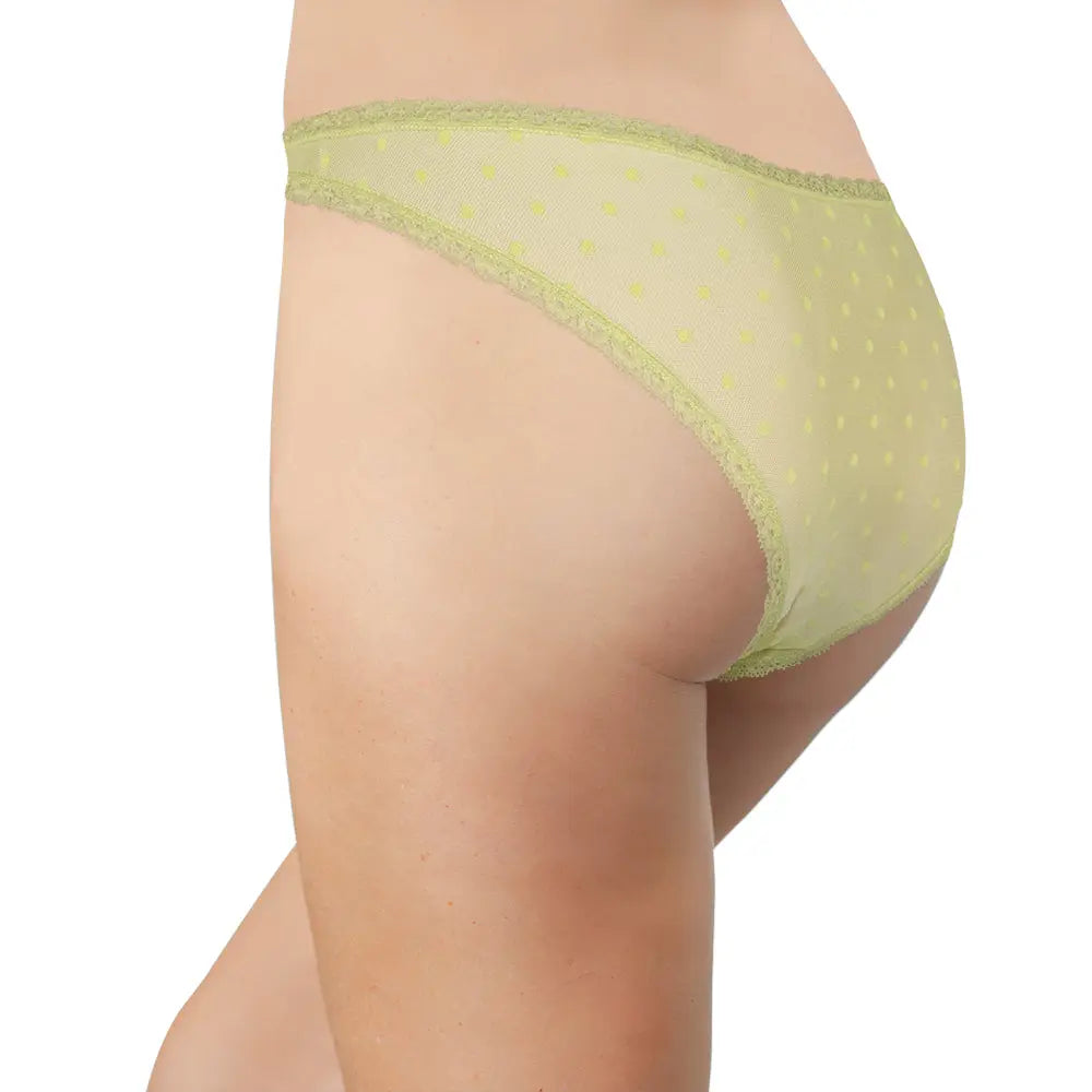 Flocked Polka Dot Mesh Cheeky with Lace Details - Be Bliss Boutique