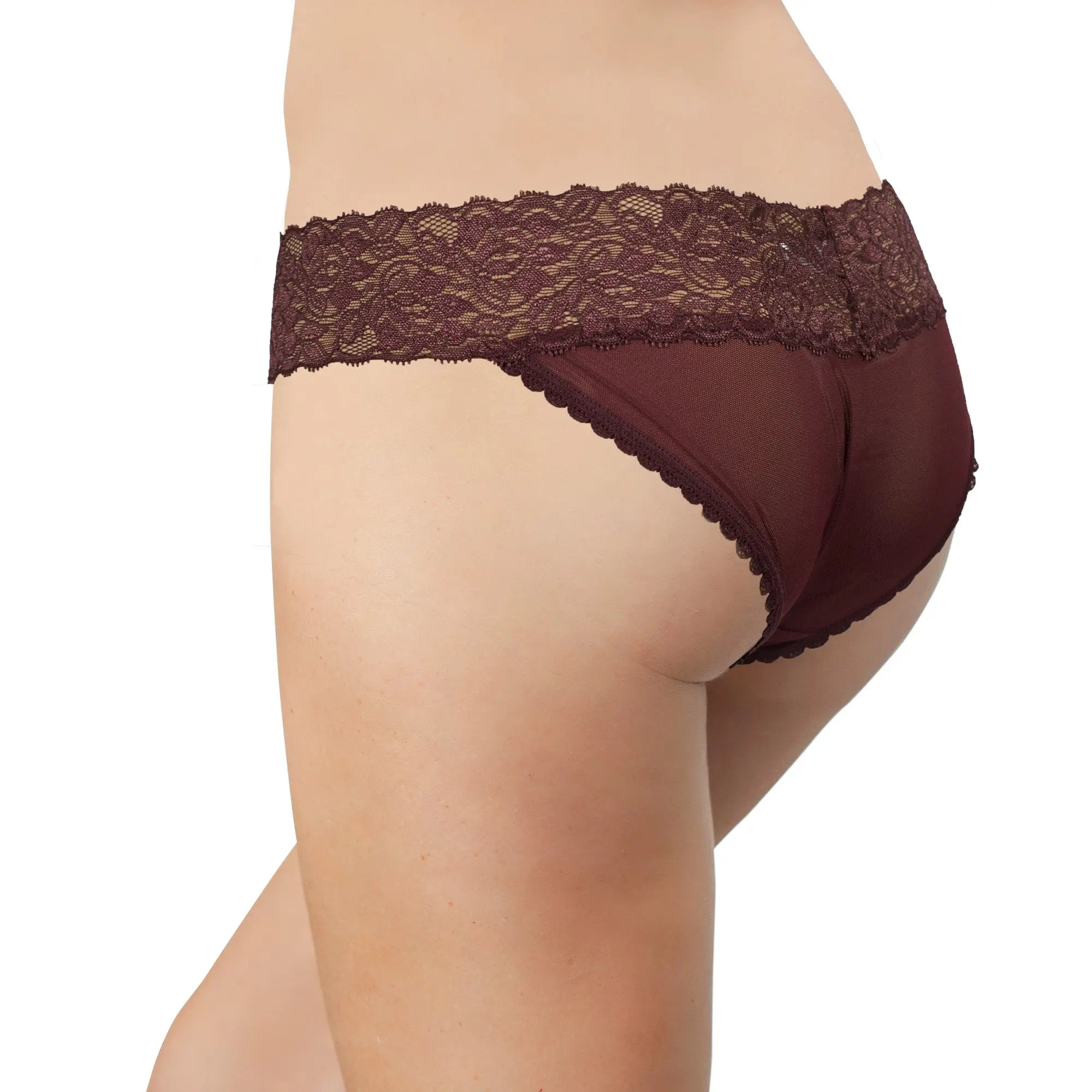 Mesh and Lace Classic Cheeky, XS-2X - Be Bliss Boutique