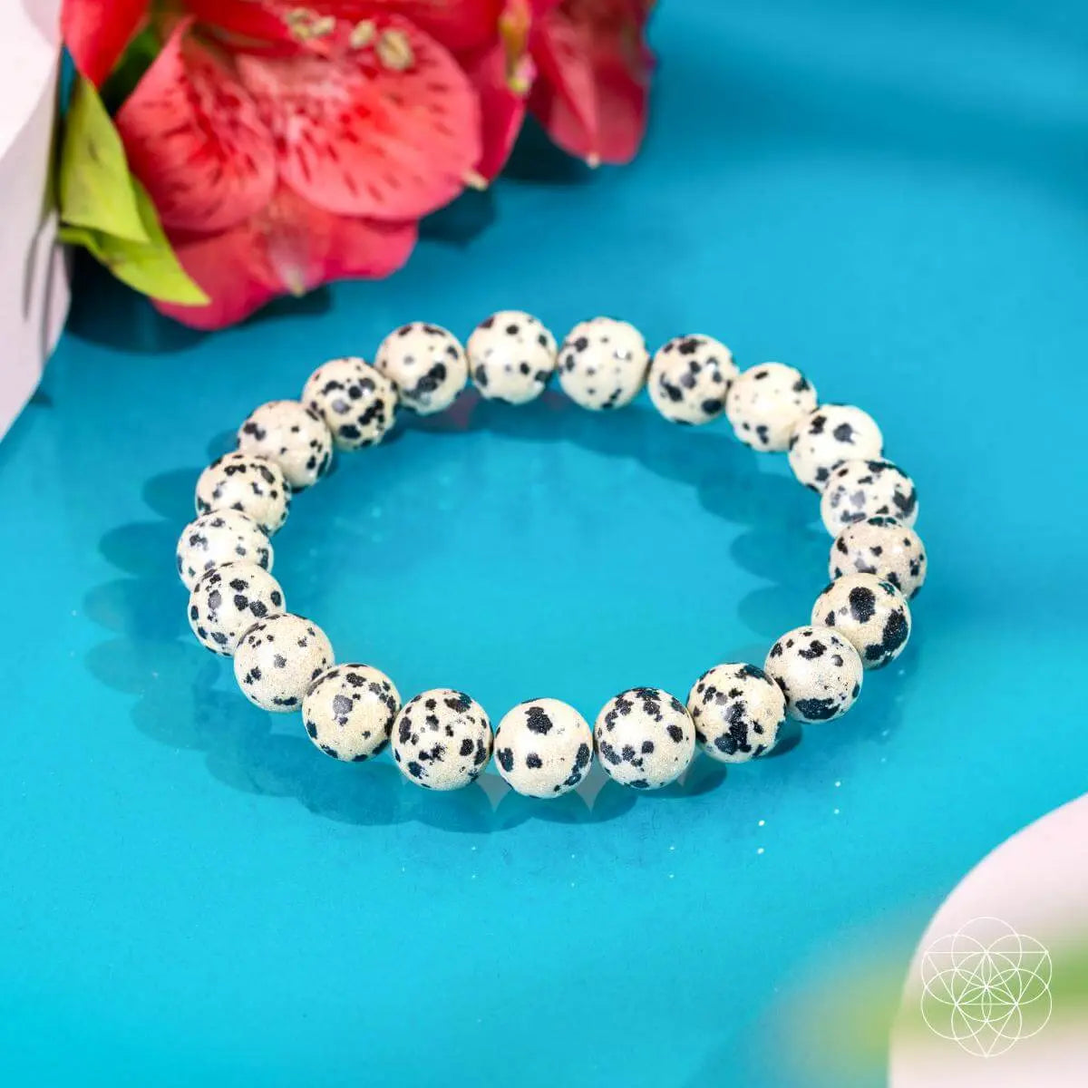 Emotional Detox - Dalmatian Jasper Bracelet - Be Bliss Boutique