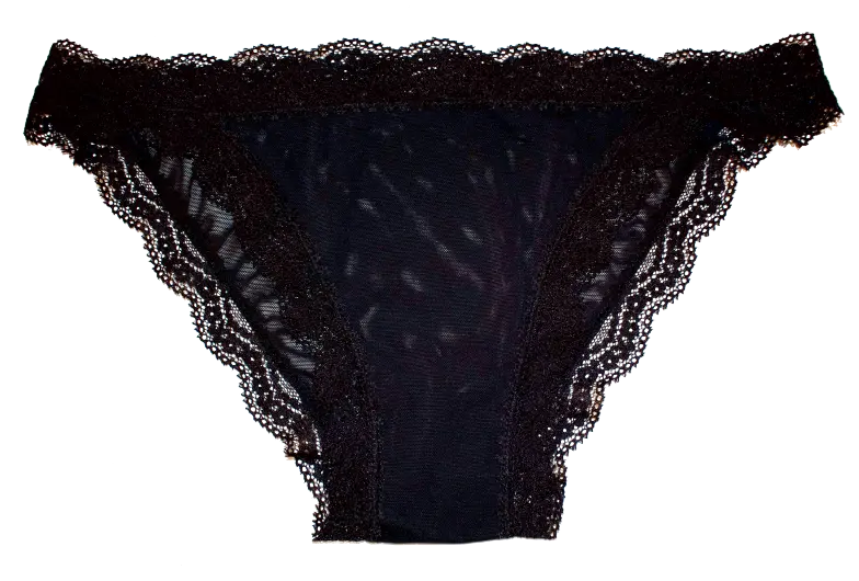 Mesh Bikini with Lace Trim at the Waist and Leg, XS-2X - Be Bliss Boutique
