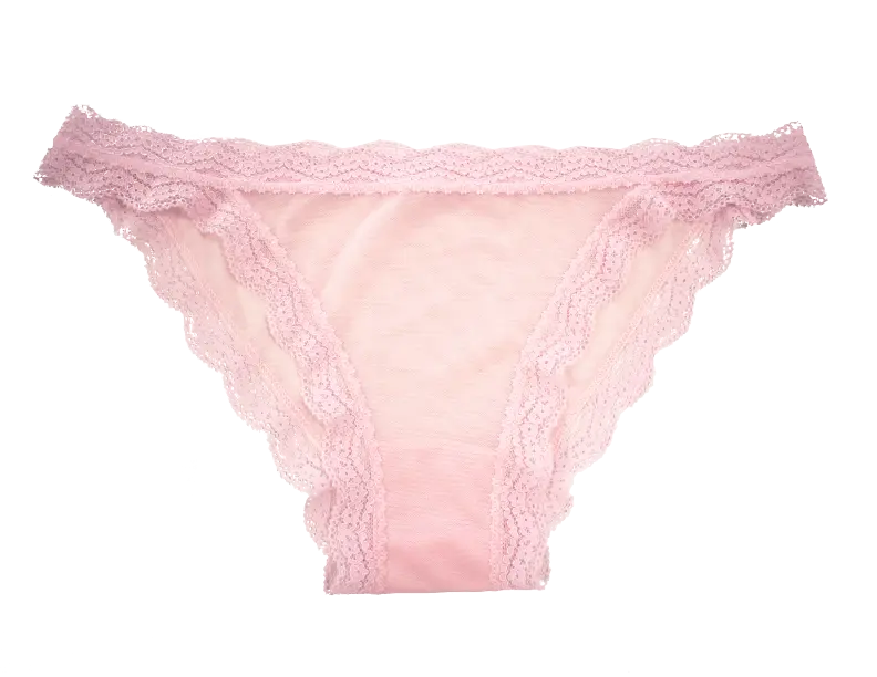 Mesh Bikini with Lace Trim at the Waist and Leg, XS-2X - Be Bliss Boutique