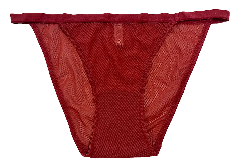 Mesh Bikini with Elastic Waist, XS-2X - Be Bliss Boutique