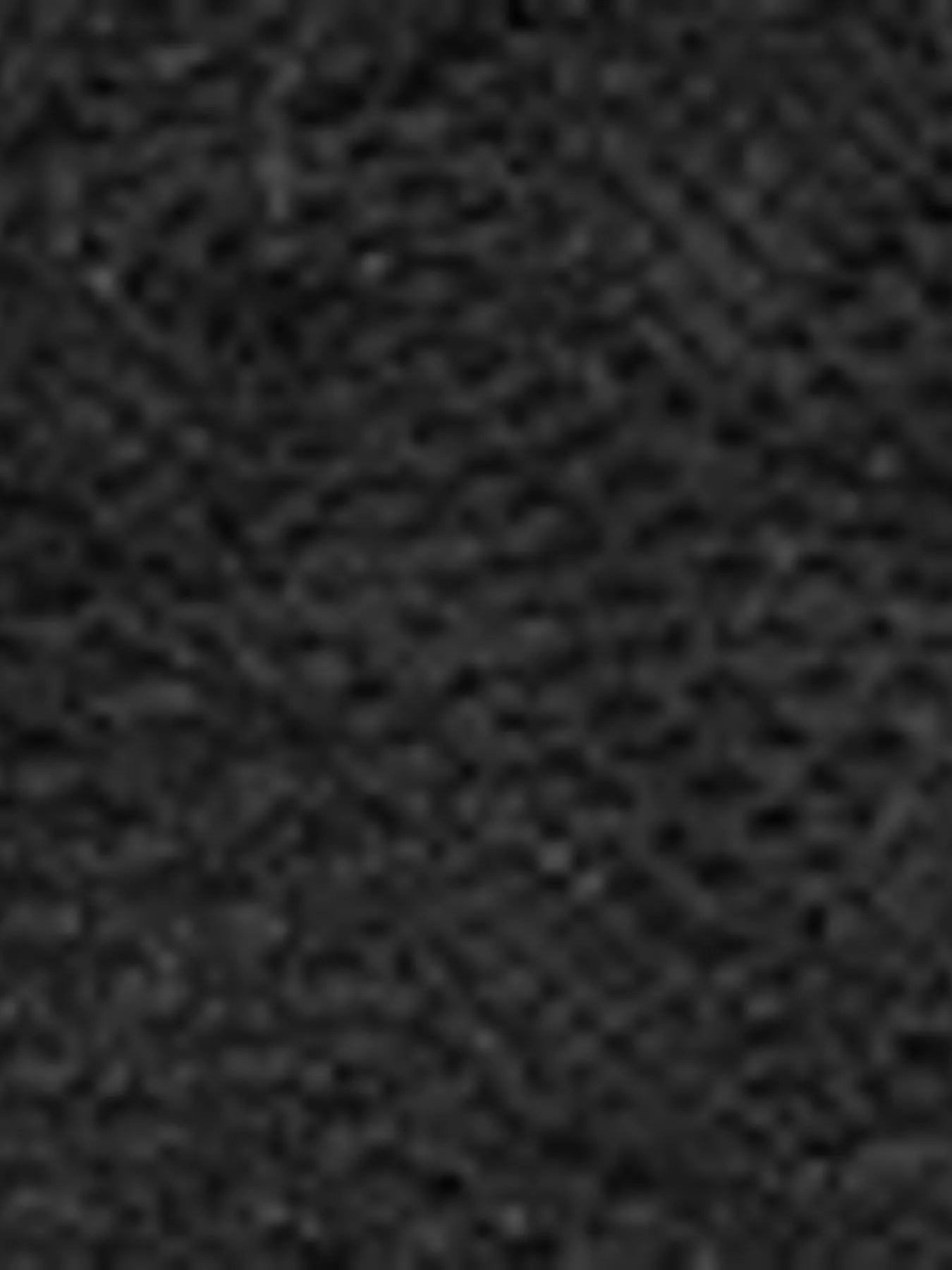 Lace V-Neck Long Sleeve T-Shirt - Be Bliss Boutique