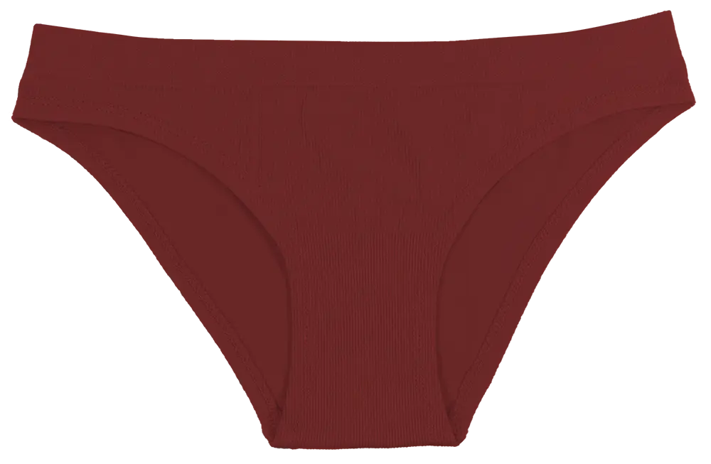 Mystery Seamless Tag Free Bikini (4 Pack) - Be Bliss Boutique