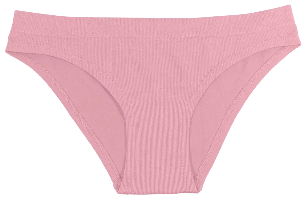 Mystery Seamless Tag Free Bikini (4 Pack) - Be Bliss Boutique