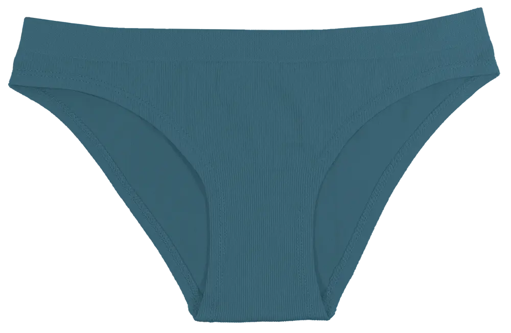Mystery Seamless Tag Free Bikini (4 Pack) - Be Bliss Boutique
