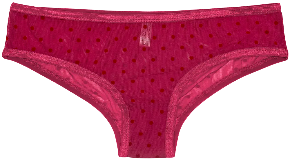 Polka Dot Mesh Bikini with Satin Trim - Be Bliss Boutique