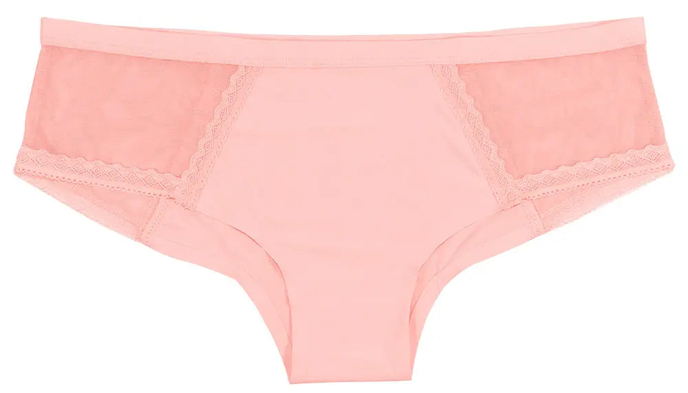 Pink Laser Cut Hipster With Mesh and Lace - Be Bliss Boutique