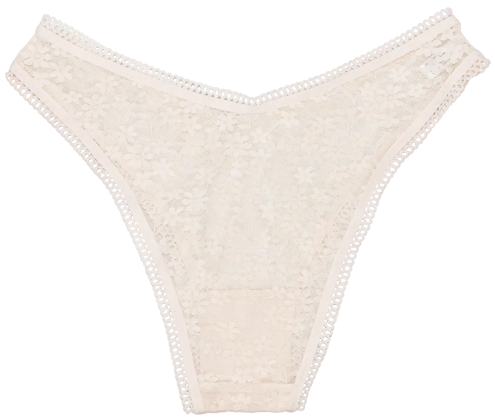 High Leg Daisy Lace Cheeky with Picot Trim - Be Bliss Boutique