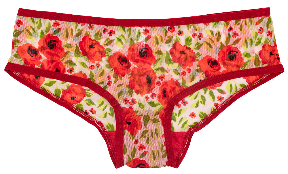 Cozy & Flirty Winter Floral Hipster – XS–3X - Be Bliss Boutique