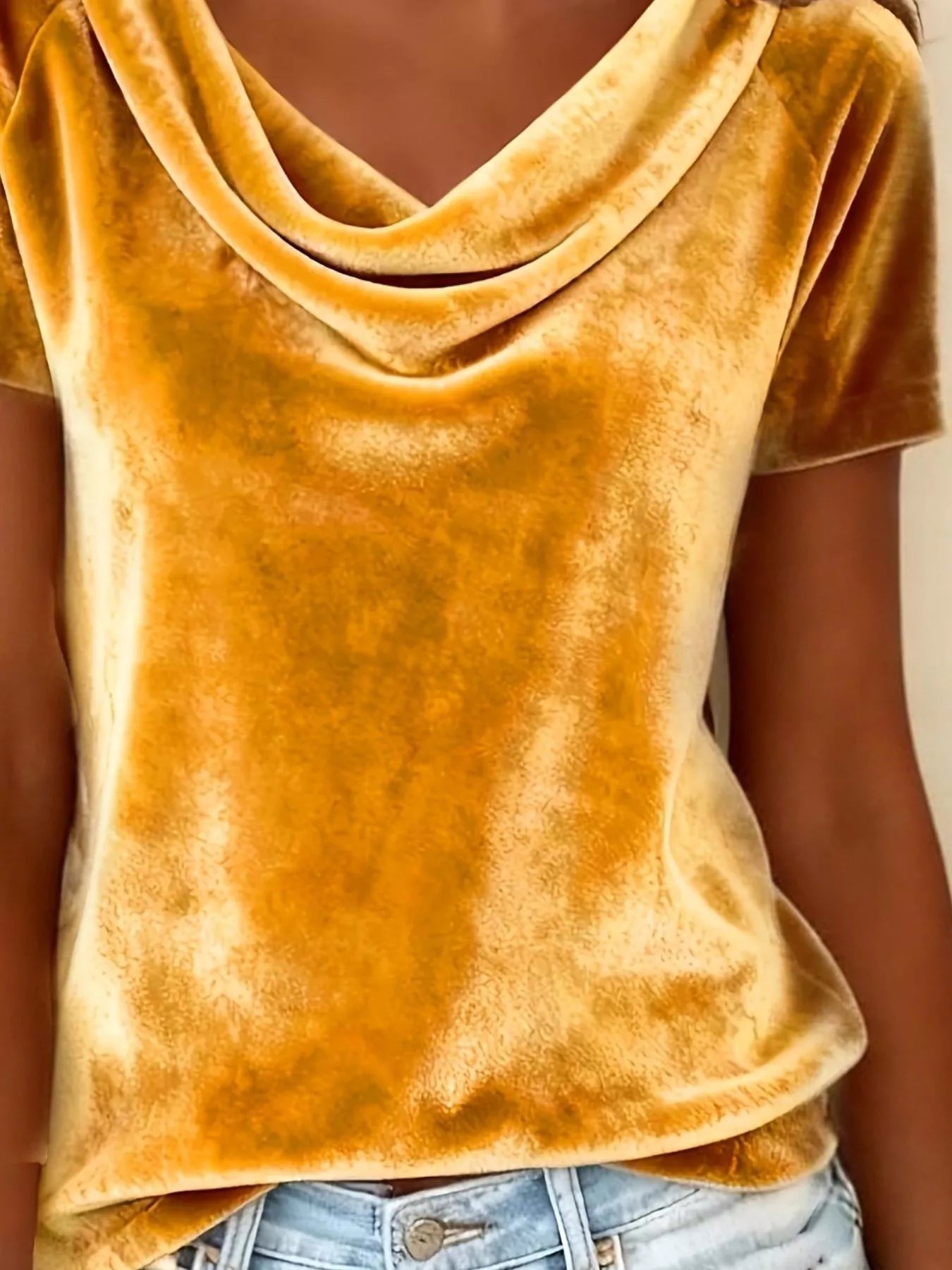 Velvet Cowl Neck Short Sleeve Top - Be Bliss Boutique