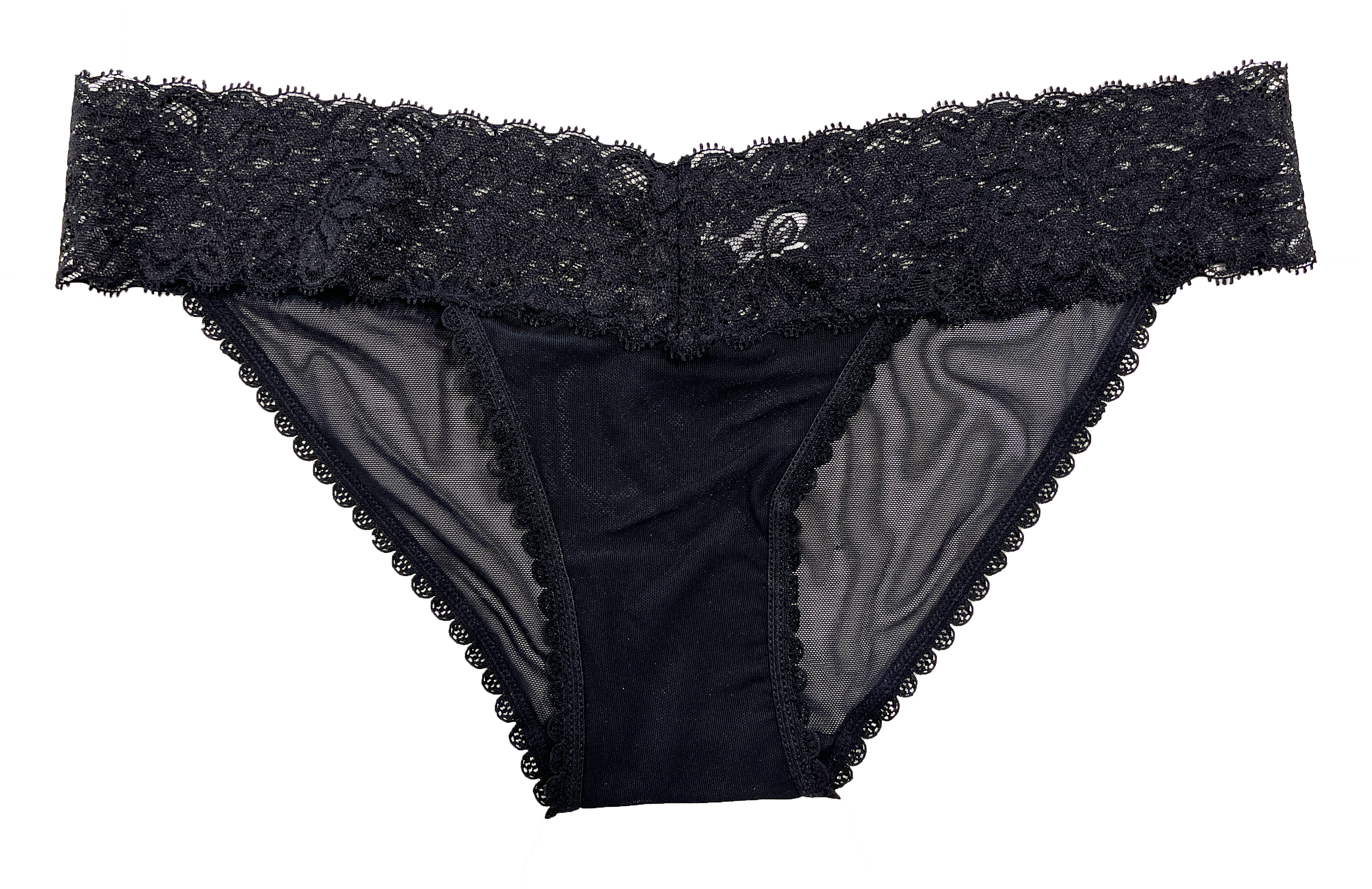 Mesh and Lace Classic Cheeky, XS-2X - Be Bliss Boutique