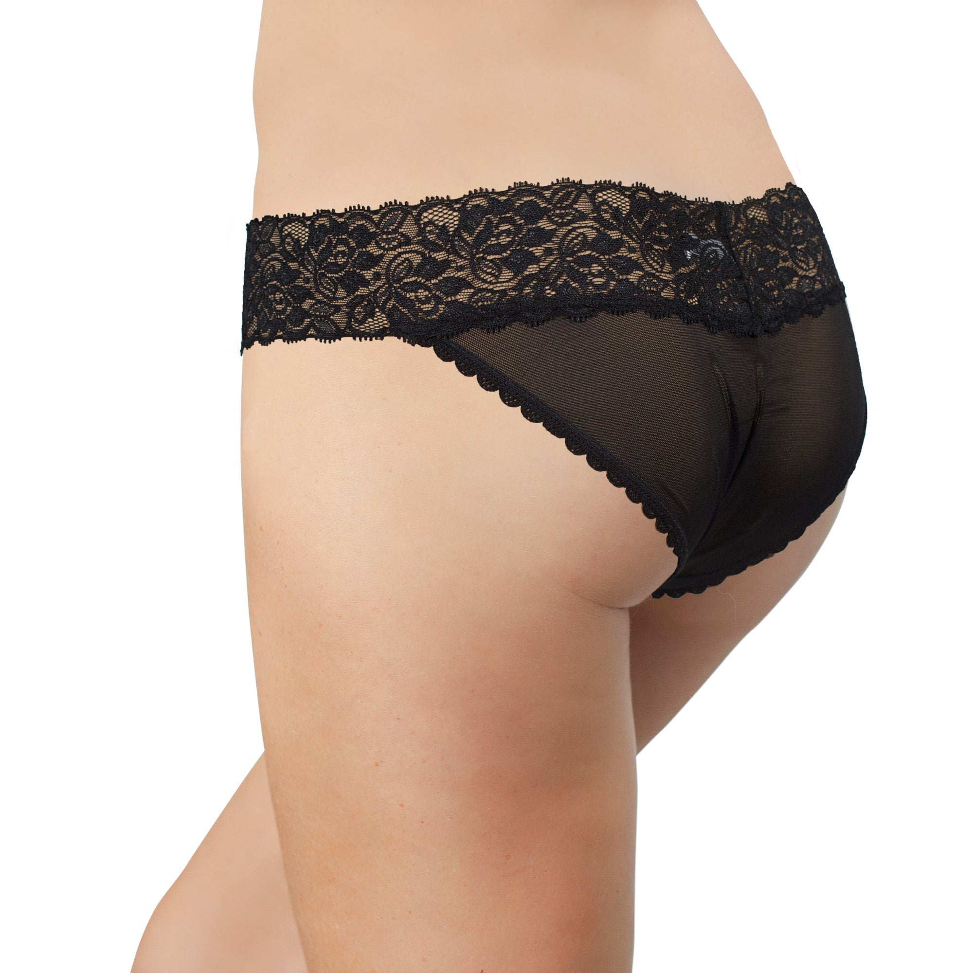 Mesh and Lace Classic Cheeky, XS-2X - Be Bliss Boutique