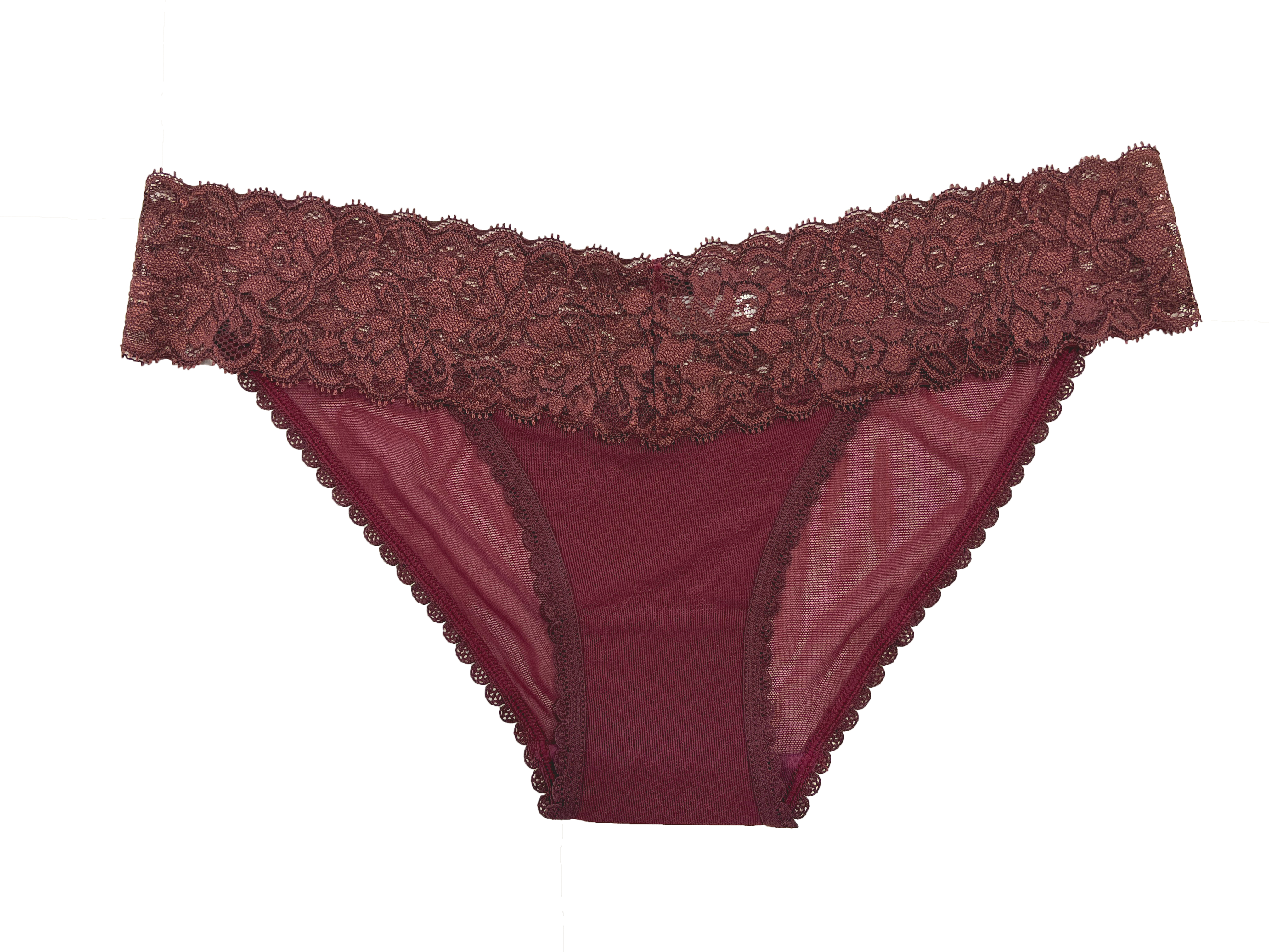 Mesh and Lace Classic Cheeky, XS-2X - Be Bliss Boutique