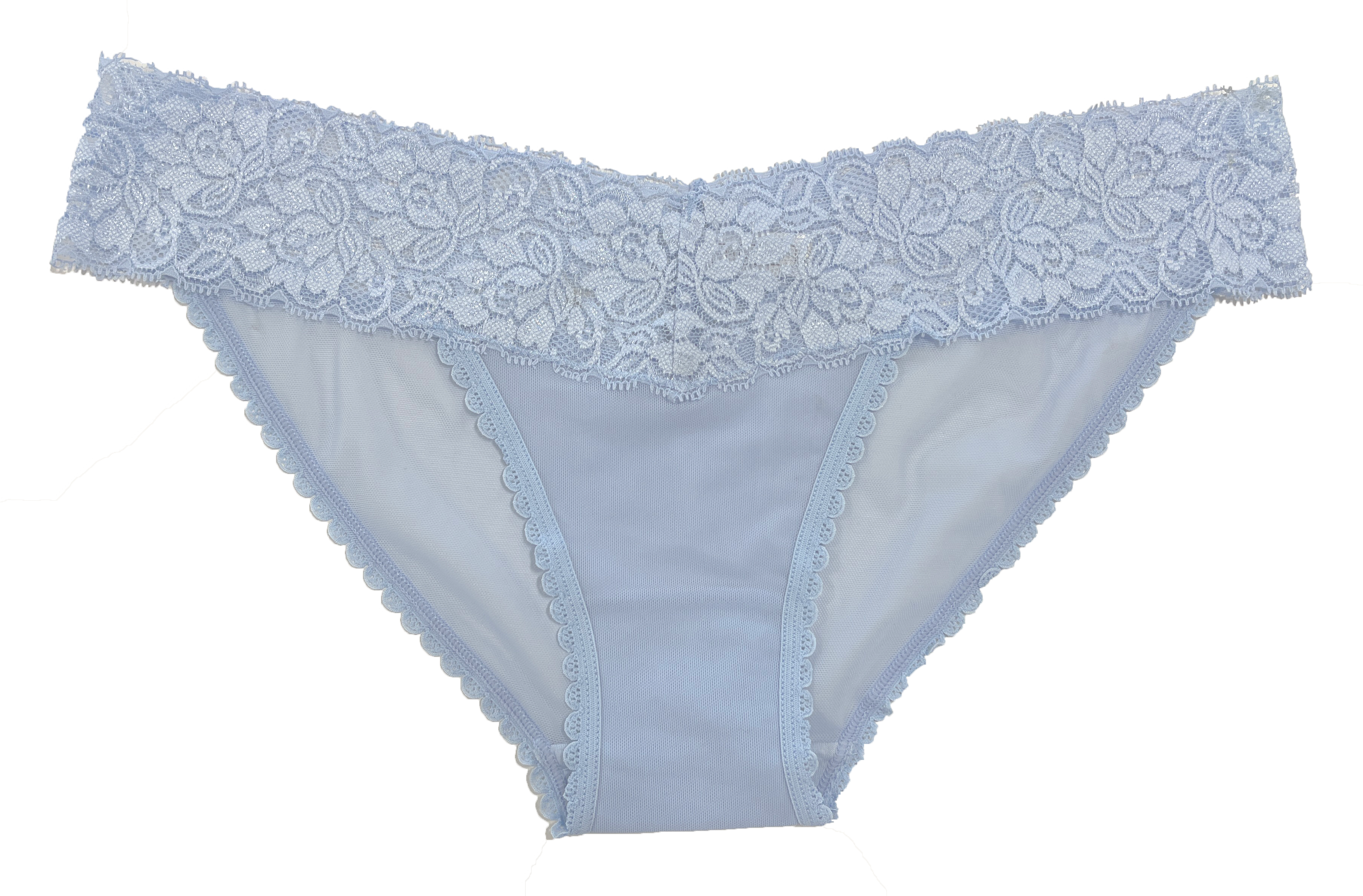 Mesh and Lace Classic Cheeky, XS-2X - Be Bliss Boutique