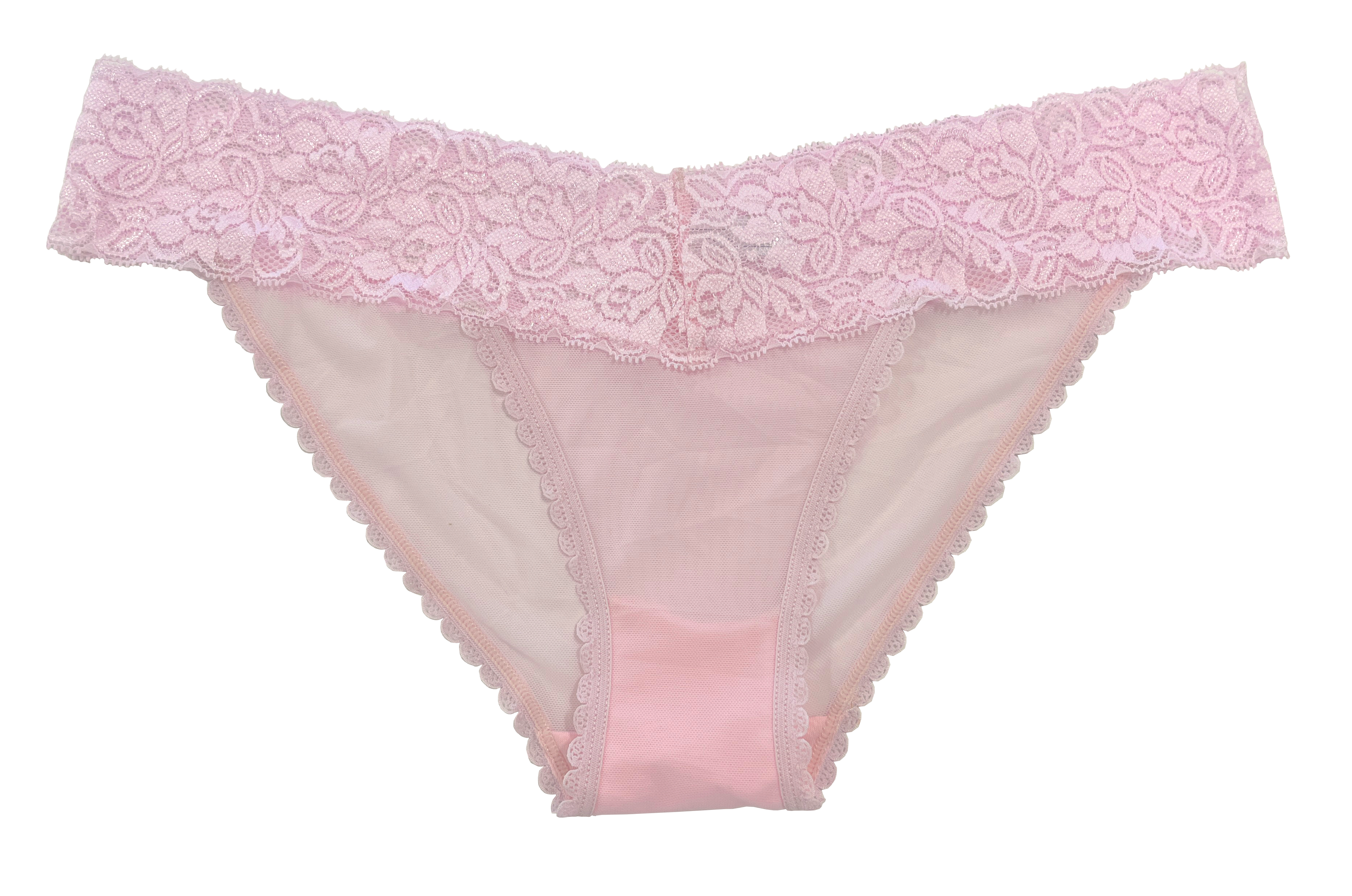 Mesh and Lace Classic Cheeky, XS-2X - Be Bliss Boutique