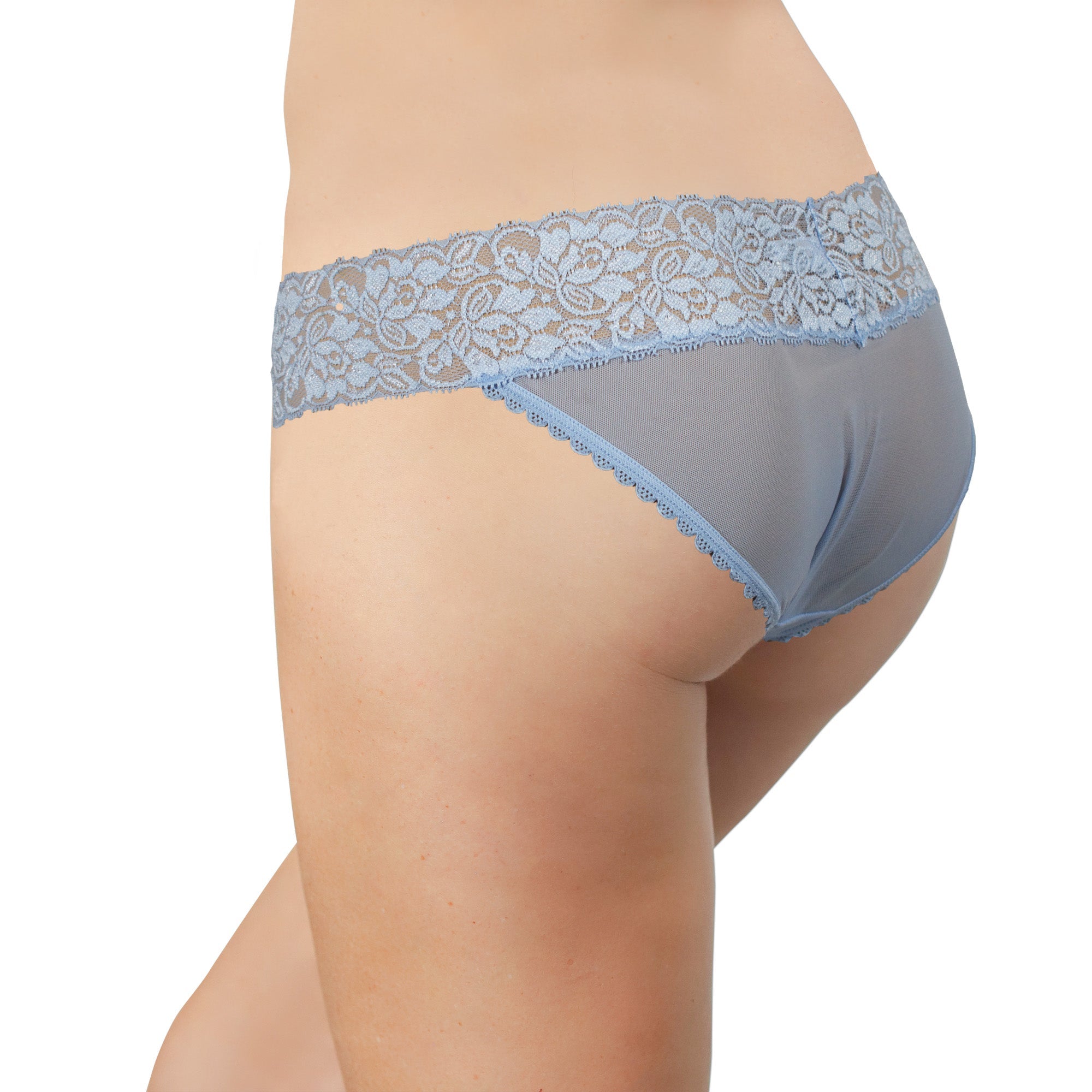 Mesh and Lace Classic Cheeky, XS-2X - Be Bliss Boutique