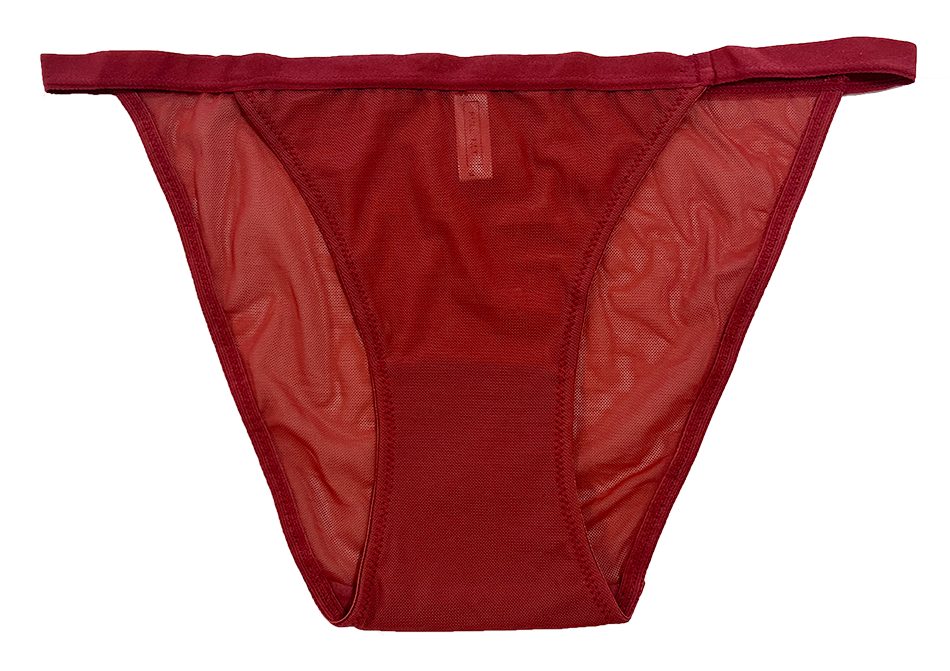 Mesh Bikini with Elastic Waist, XS-2X - Be Bliss Boutique