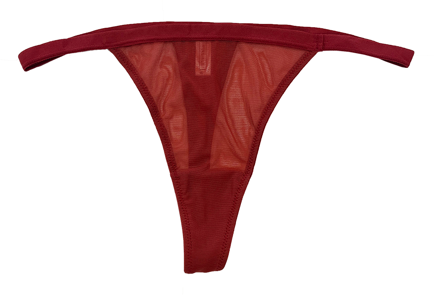 Mesh Thong with Elastic Waist, XS-2X - Be Bliss Boutique