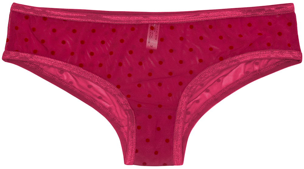 Polka Dot Mesh Bikini with Satin Trim - Be Bliss Boutique