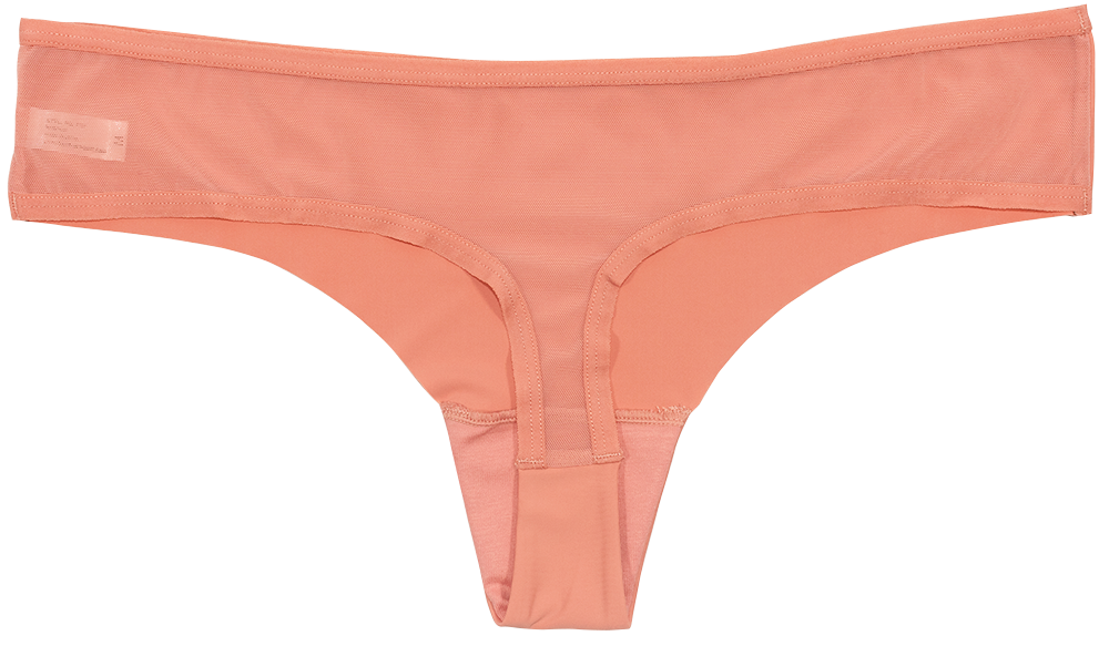Pink Laser Cut Thong with Mesh Back - Be Bliss Boutique