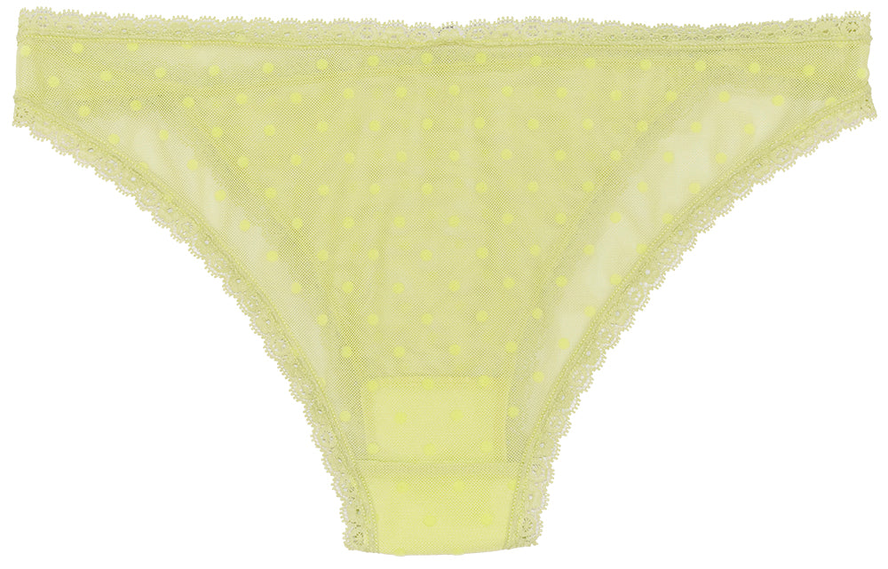 Flocked Polka Dot Mesh Cheeky with Lace Details - Be Bliss Boutique